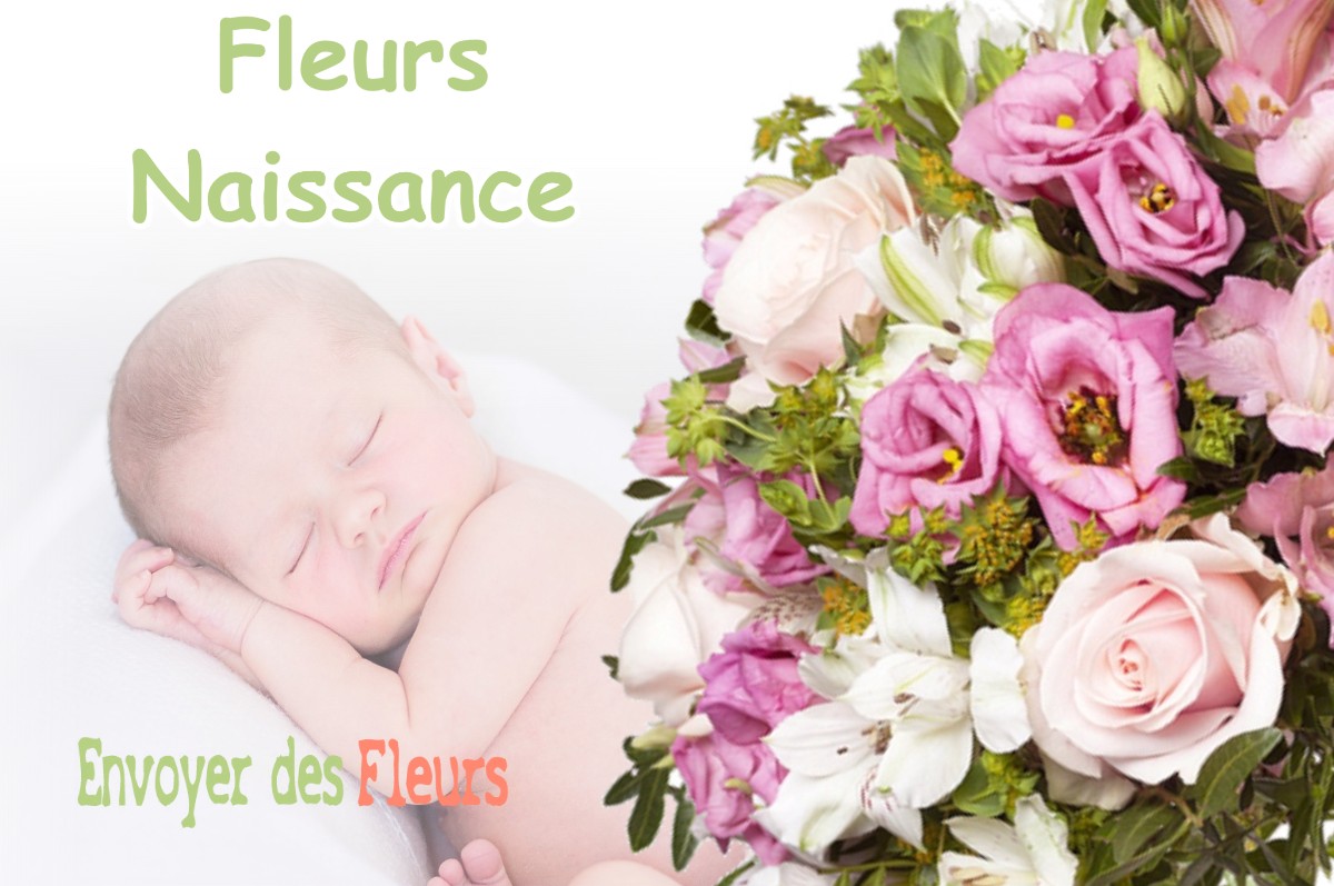 lIVRAISON FLEURS NAISSANCE à VALLEGUE